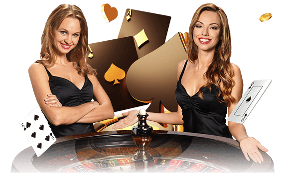Jogue com dealers reais no 8LL!